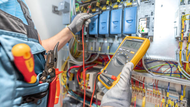 Best Electric Panel Repair  in Gouldtown, NJ